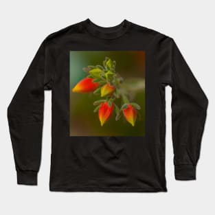 Echeveria Emerging Long Sleeve T-Shirt